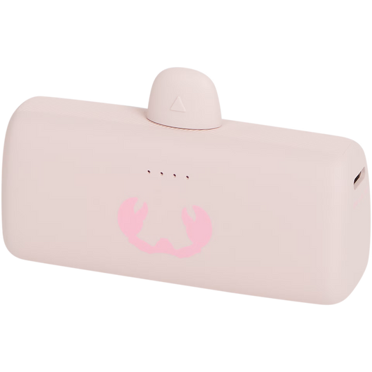 Plug-in powerbank - FNRB