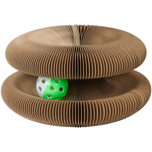 Kattendoolhof - KBAL