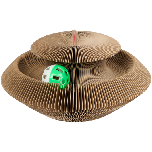 Kattendoolhof - KBAL