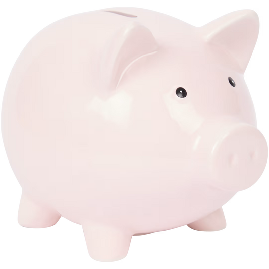 Spaarpot decoratief - SPAD